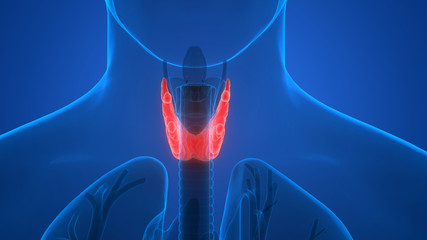 Thyroid surgery in Melbourne, Australia - Dr. Justin James